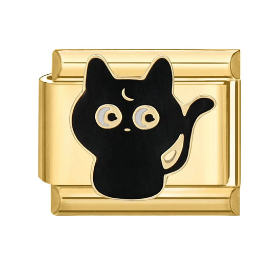 Chat Noir Mystérieux